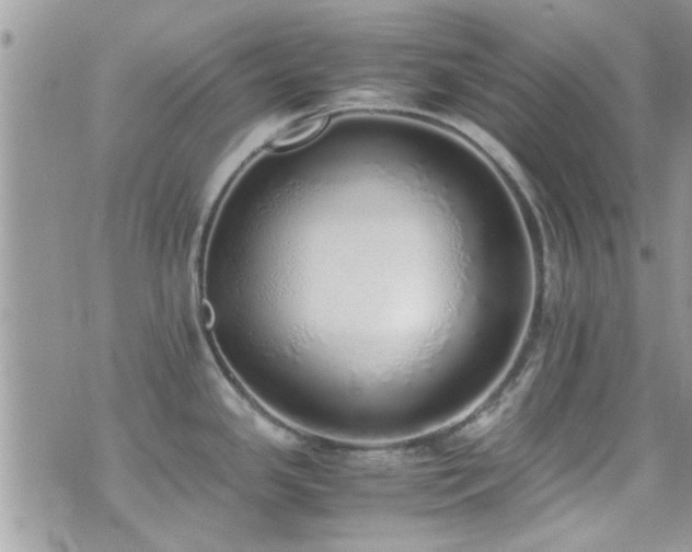 X0000071931341200607071213