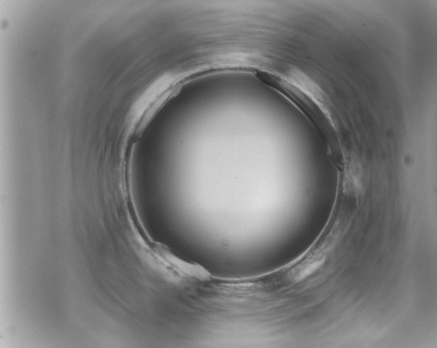 X0000071931342200607071213