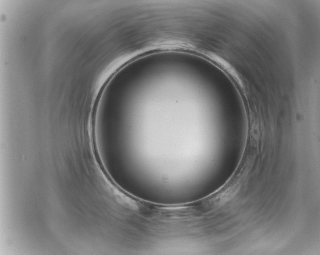 X0000071931343200607071213