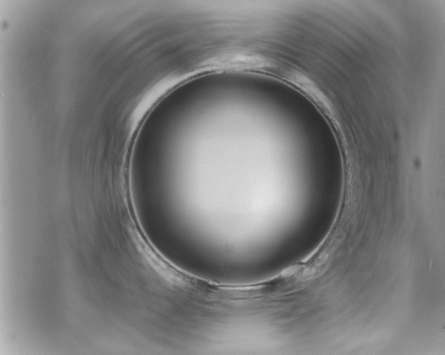 X0000071931344200607071213