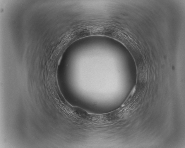 X0000071931345200607071212