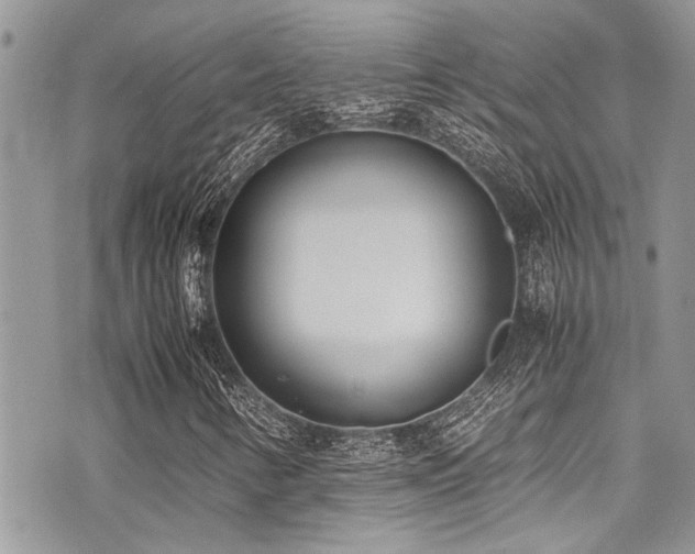 X0000071931346200607071212