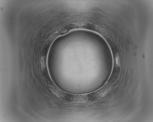 X0000071931347200607071212