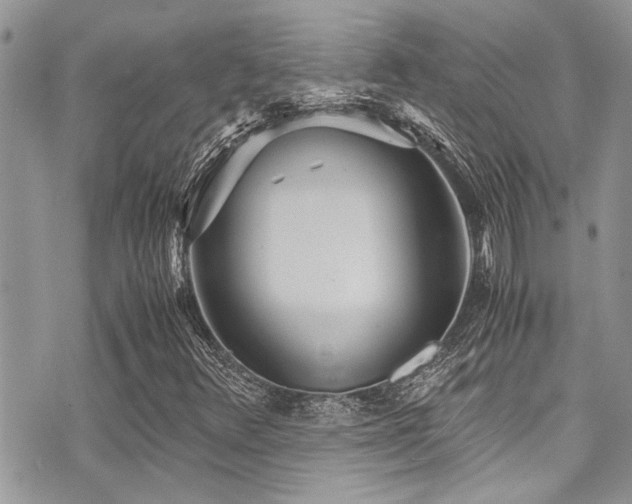 X0000071931348200607071212