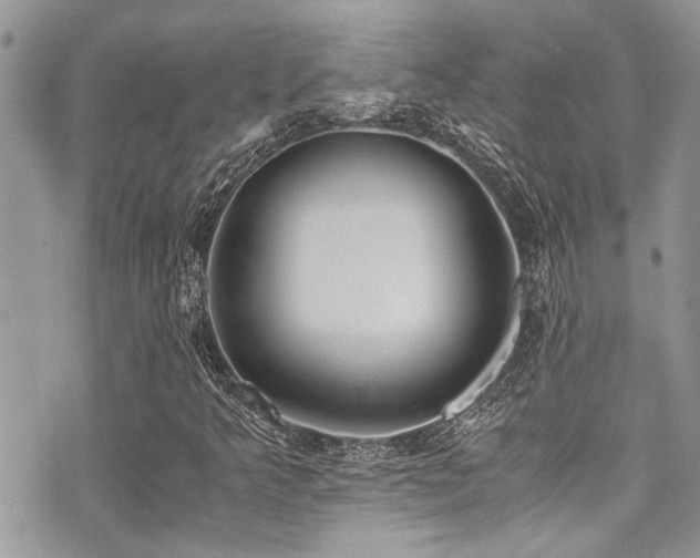 X0000071931349200607071212