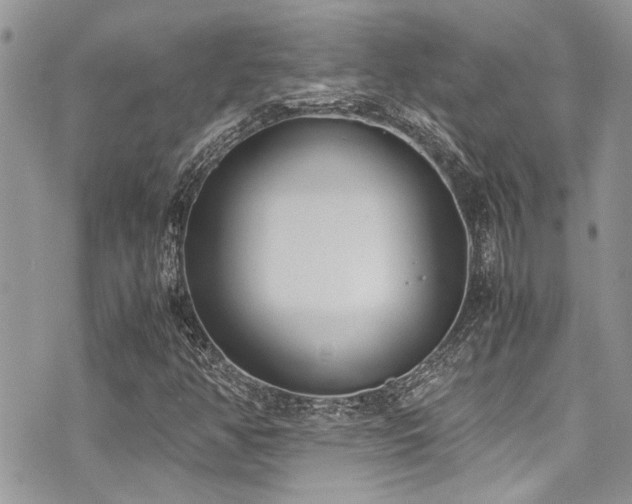 X0000071931350200607071212