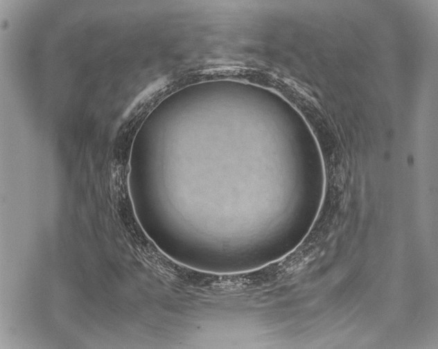 X0000071931351200607071212