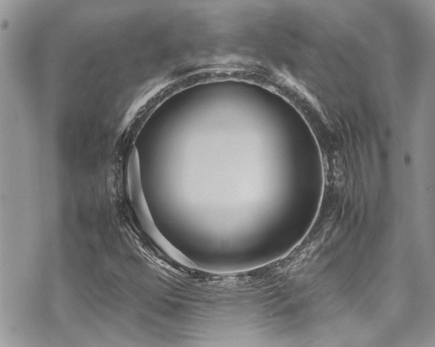 X0000071931352200607071212