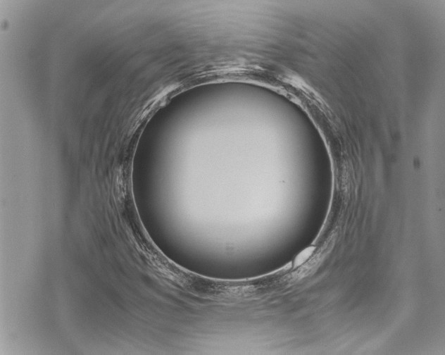 X0000071931353200607071212