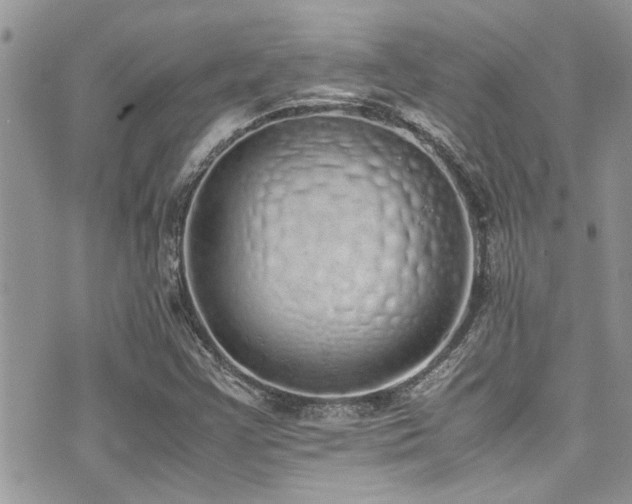 X0000071931355200607071212