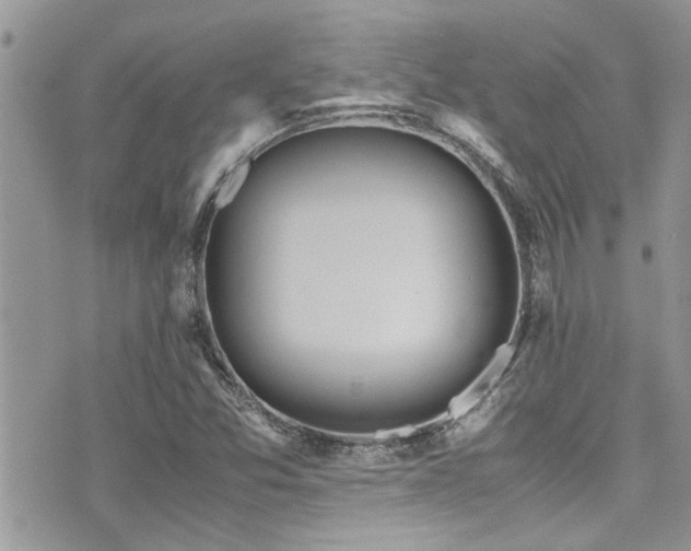 X0000071931357200607071212