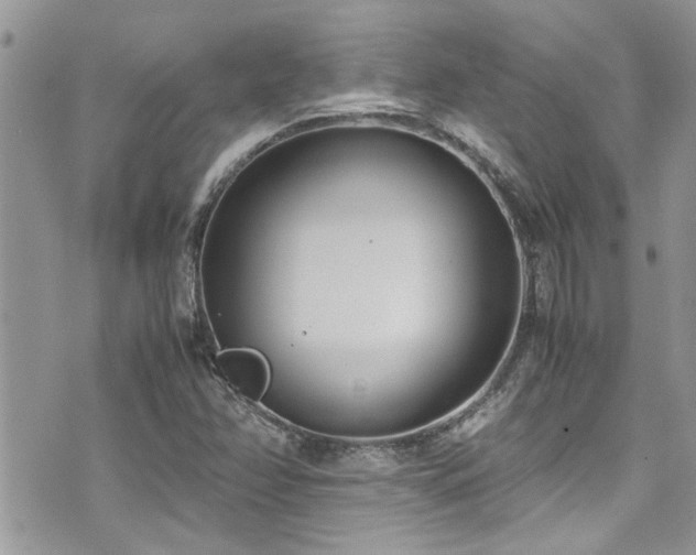 X0000071931358200607071212