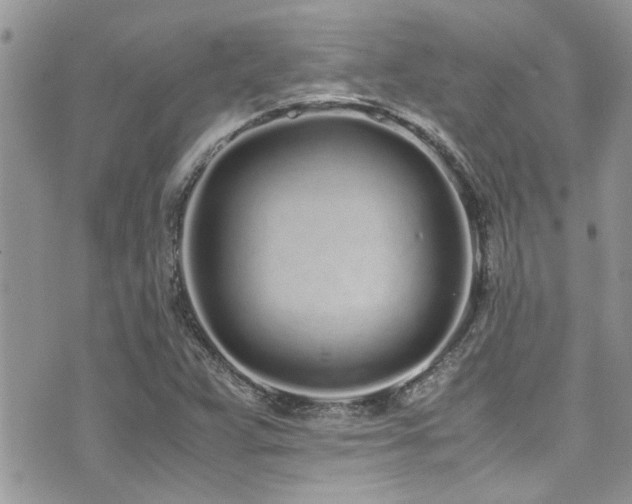 X0000071931359200607071212