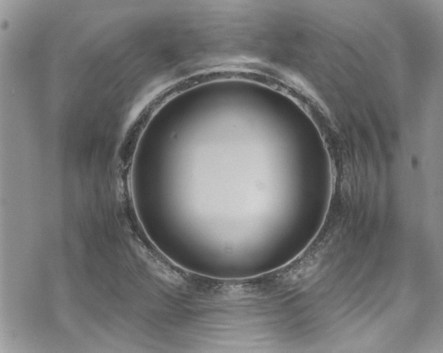 X0000071931360200607071212