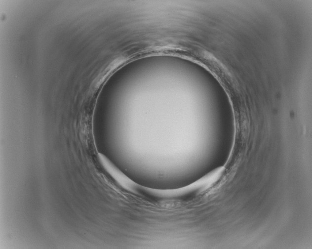 X0000071931361200607071212