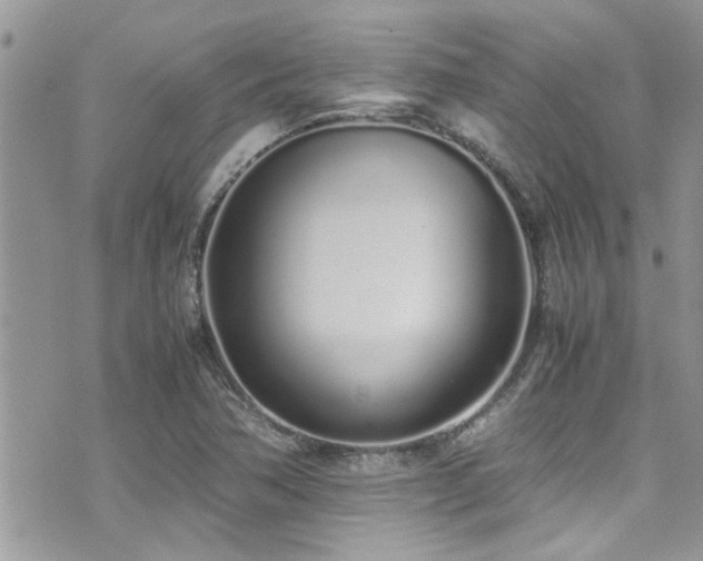 X0000071931362200607071212