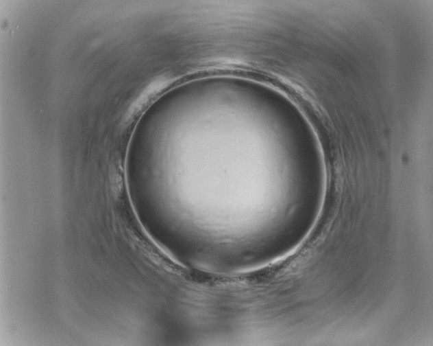 X0000071931363200607071212