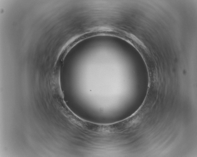 X0000071931364200607071212