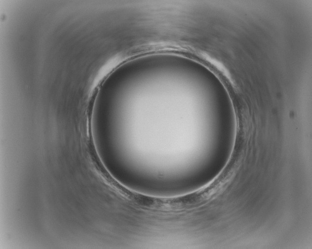 X0000071931365200607071212