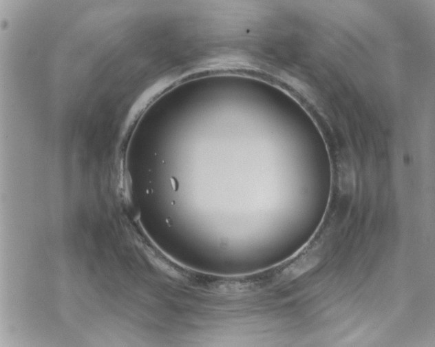 X0000071931366200607071212