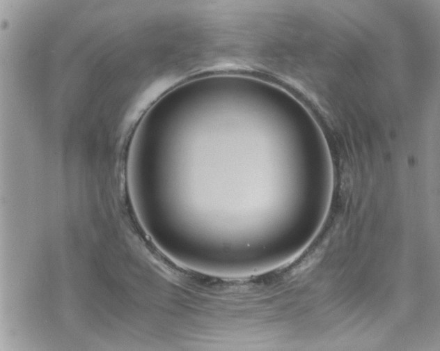 X0000071931367200607071212