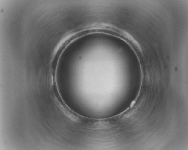 X0000071931368200607071212