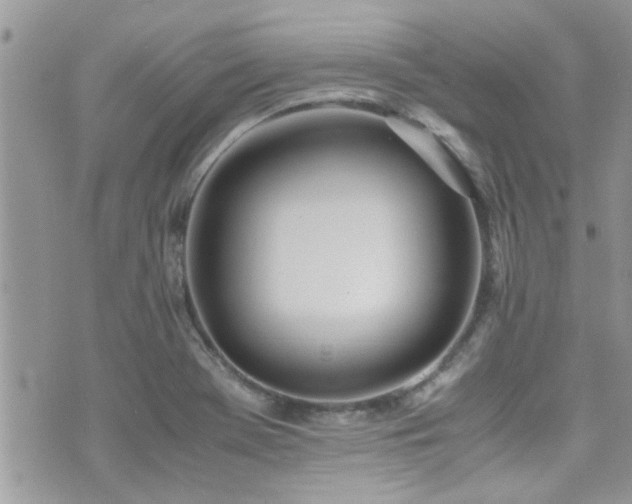 X0000071931369200607071212