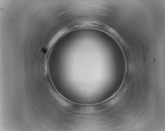 X0000071931370200607071212