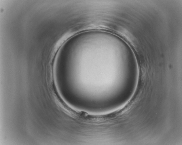 X0000071931371200607071212