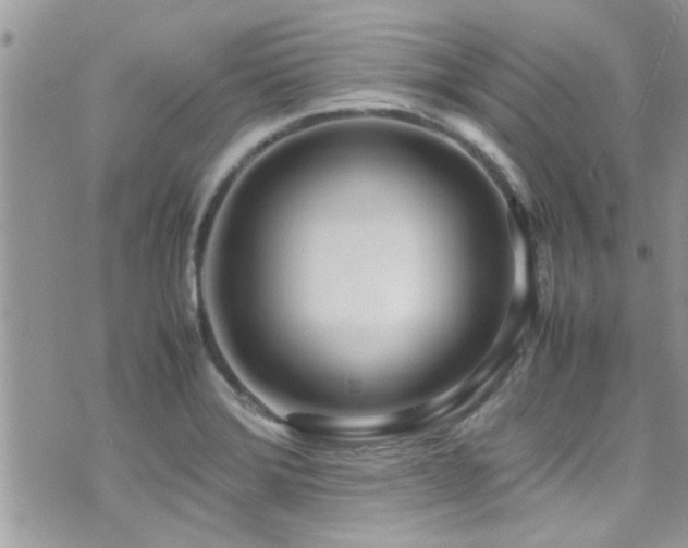 X0000071931372200607071212