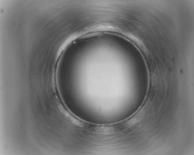 X0000071931374200607071212