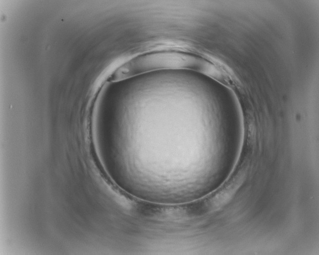 X0000071931375200607071212