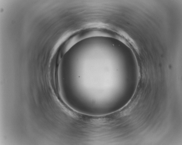 X0000071931376200607071212