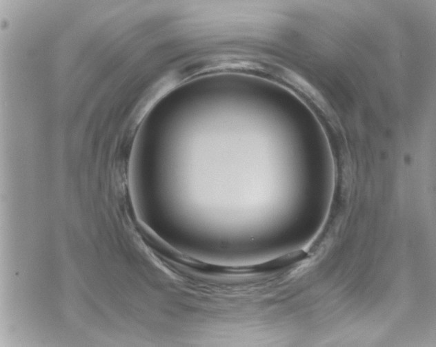 X0000071931377200607071212