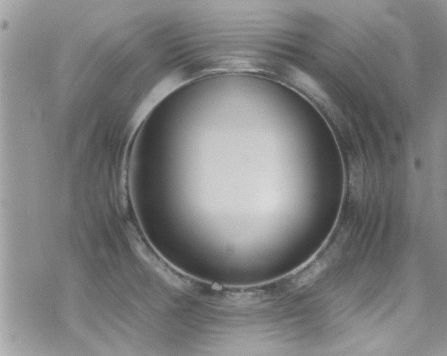 X0000071931378200607071212