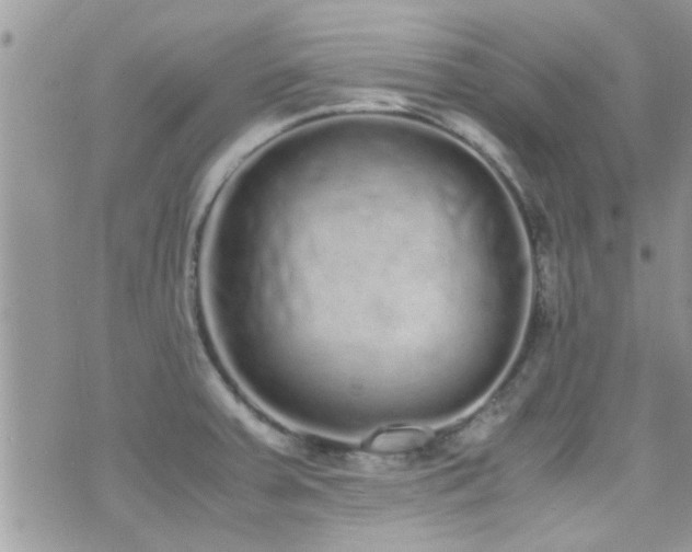 X0000071931379200607071212