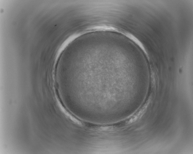 X0000071931381200607071212