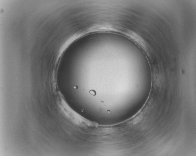 X0000071931382200607071212