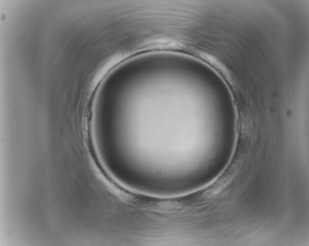 X0000071931383200607071212