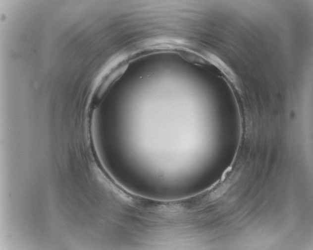 X0000071931384200607071212