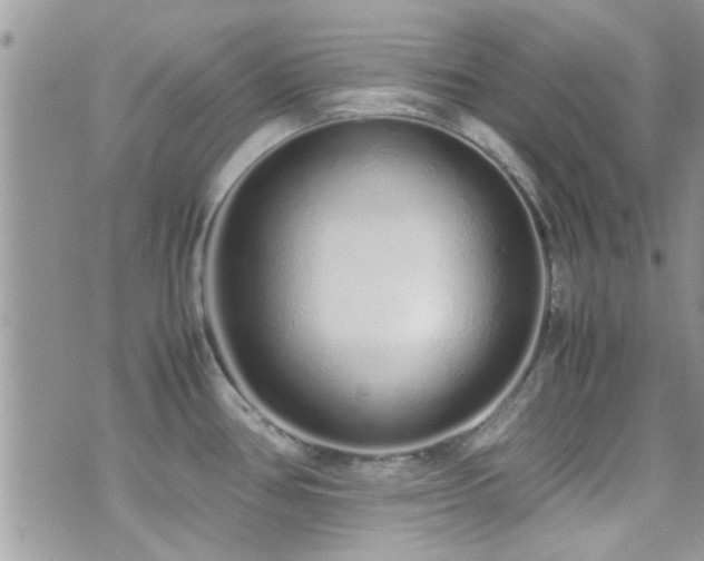 X0000071931386200607071212