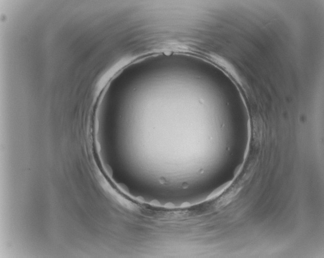 X0000071931387200607071212