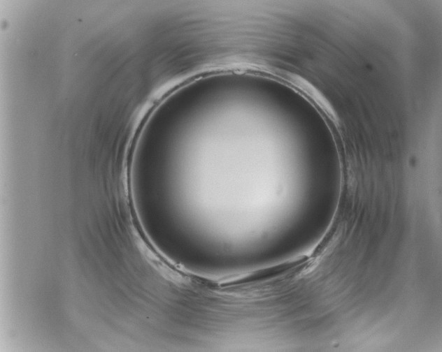 X0000071931388200607071212