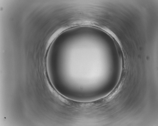 X0000071931389200607071212