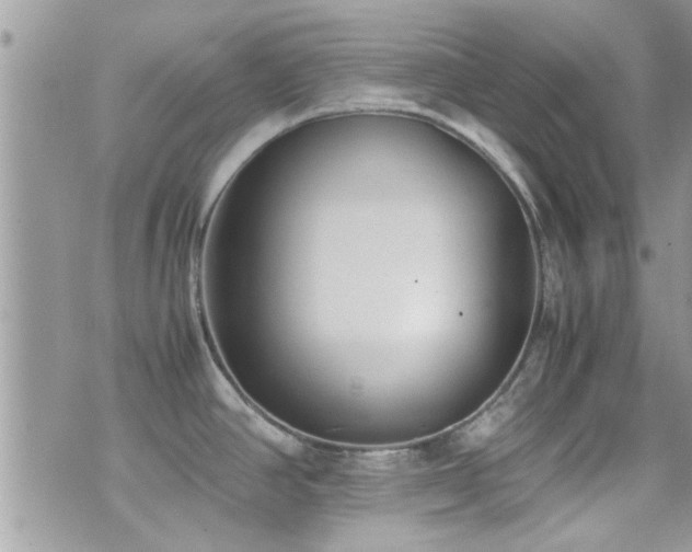 X0000071931390200607071212