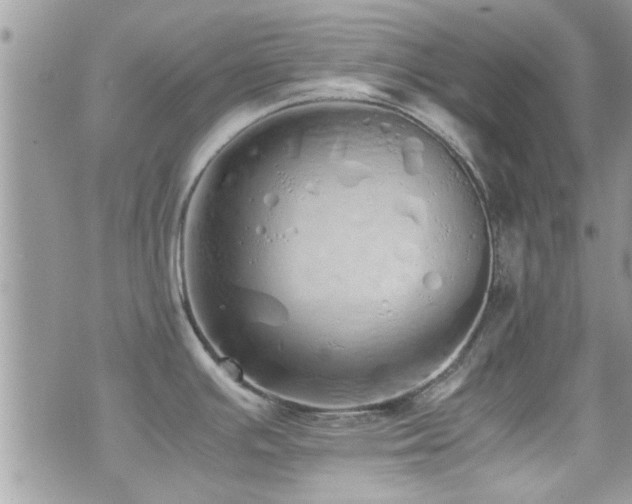 X0000071931391200607071211