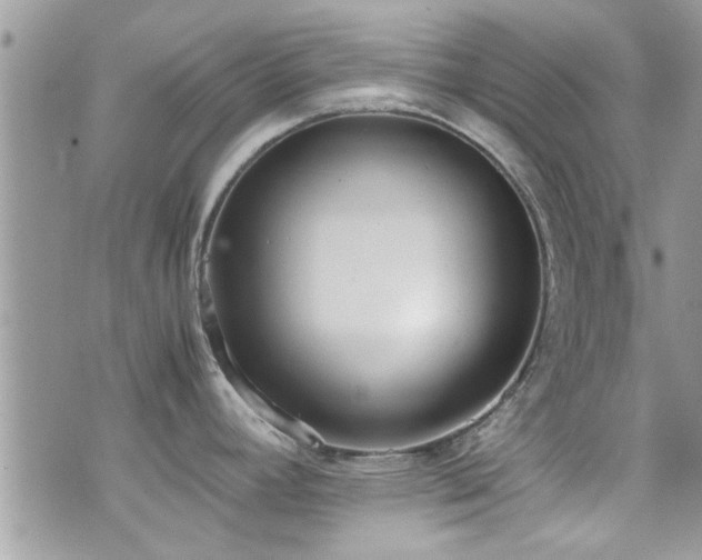 X0000071931392200607071211