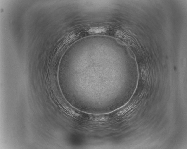 X0000071931393200607071211