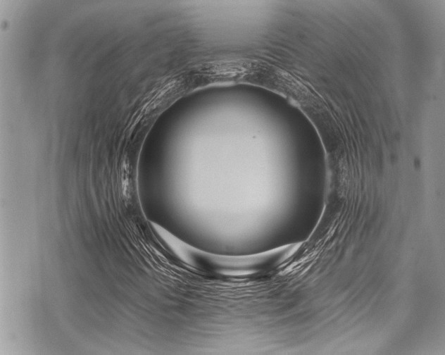 X0000071931394200607071211