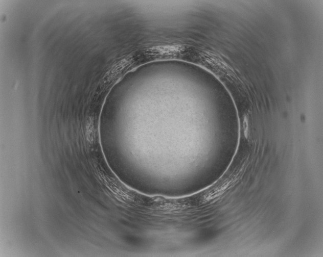 X0000071931395200607071211